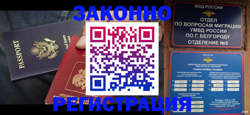 прописка законно в Владимирской области